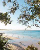 Noosa Sunrise