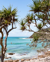 A Taste of Noosa