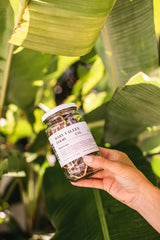 The Hilton | Local Vodka Lime and Soda | Gift box by Noosa Gift Co