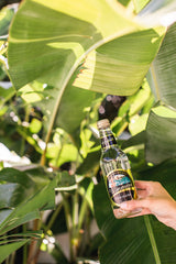 The Hilton | Local Vodka Lime and Soda | Gift box by Noosa Gift Co