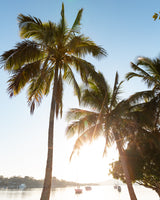 Noosa Sunset