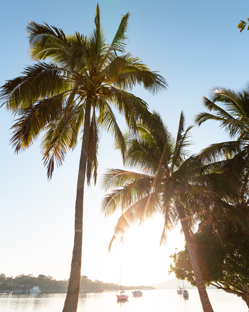 Noosa Sunset